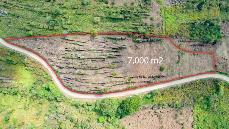 7mil m2 terreno